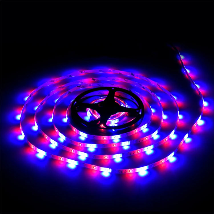 China Factory Direct High Efficiency DC 5v 12v 24v Adjustable 5050 RGB LED Strip Lights